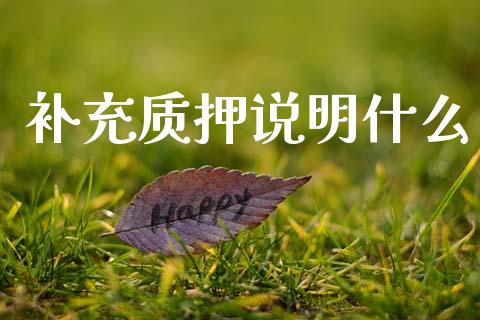 补充质押说明什么_基金分析_第1张_财经时评_基金分析_期货交易_金融机构_外汇汇率_债券投资 补充质押说明什么_https://wap.hpmsj.cn_基金分析_第1张
