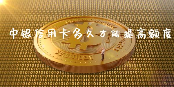 中银信用卡多久才能提高额度_https://wap.hpmsj.cn_财经时评_第1张