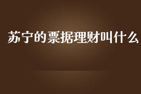 苏宁的票据理财叫什么_https://wap.hpmsj.cn_期货交易_第1张
