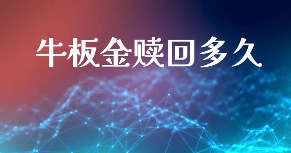牛板金赎回多久_https://wap.hpmsj.cn_债券投资_第1张