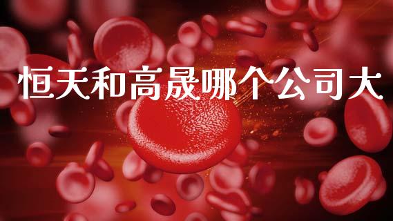 恒天和高晟哪个公司大_https://wap.hpmsj.cn_财经时评_第1张