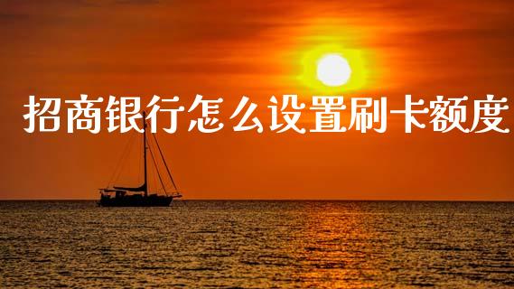 招商银行怎么设置刷卡额度_https://wap.hpmsj.cn_期货交易_第1张