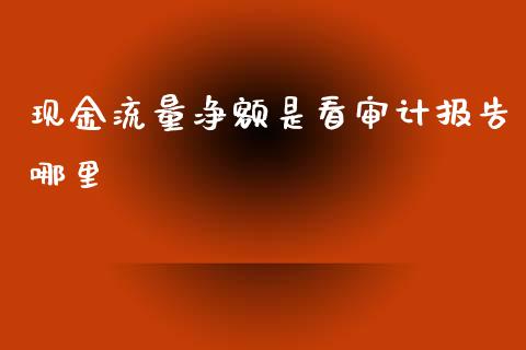 现金流量净额是看审计报告哪里_https://wap.hpmsj.cn_金融机构_第1张