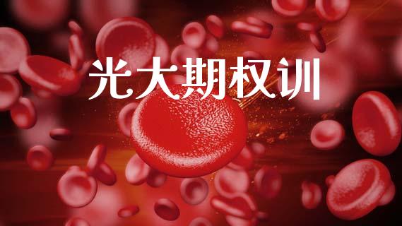 光大期权训_https://wap.hpmsj.cn_外汇汇率_第1张