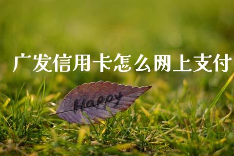 广发信用卡怎么网上支付_https://wap.hpmsj.cn_基金分析_第1张
