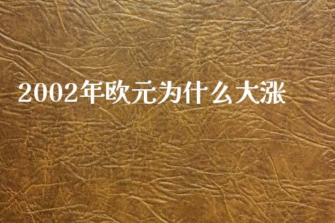 2002年欧元为什么大涨_https://wap.hpmsj.cn_债券投资_第1张
