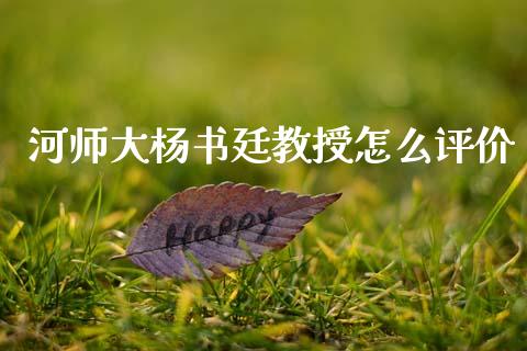 河师大杨书廷教授怎么评价_https://wap.hpmsj.cn_债券投资_第1张