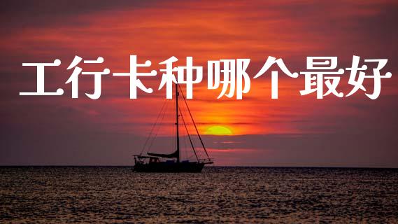 工行卡种哪个最好_https://wap.hpmsj.cn_外汇汇率_第1张