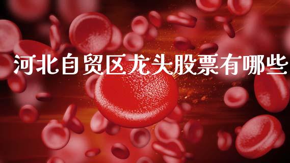 河北自贸区龙头股票有哪些_https://wap.hpmsj.cn_期货交易_第1张