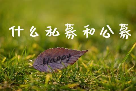 什么私募和公募_https://wap.hpmsj.cn_期货交易_第1张
