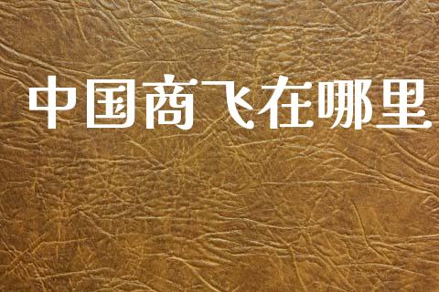 中国商飞在哪里_https://wap.hpmsj.cn_财经时评_第1张