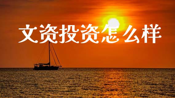 文资投资怎么样_https://wap.hpmsj.cn_金融机构_第1张