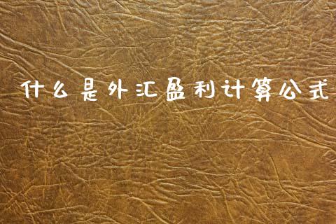 什么是外汇盈利计算公式_https://wap.hpmsj.cn_财经时评_第1张