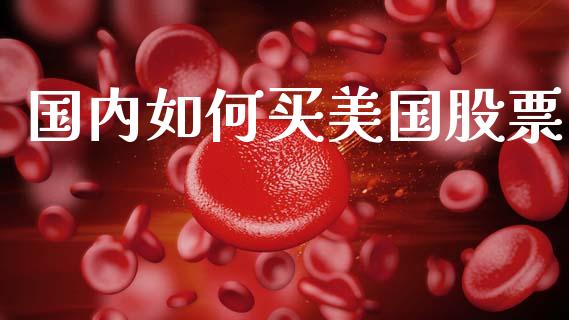 国内如何买美国股票_https://wap.hpmsj.cn_债券投资_第1张