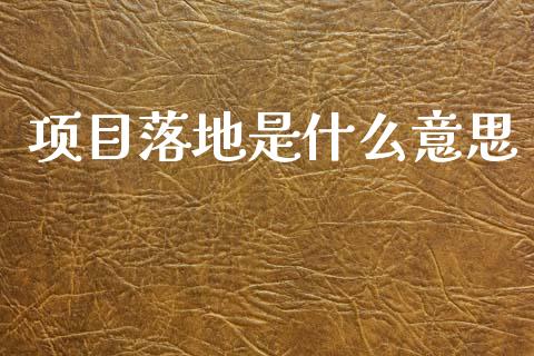 项目落地是什么意思_https://wap.hpmsj.cn_外汇汇率_第1张