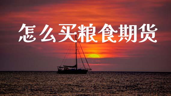 怎么买粮食期货_https://wap.hpmsj.cn_财经时评_第1张