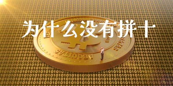 为什么没有拼十_https://wap.hpmsj.cn_基金分析_第1张