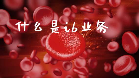 什么是ib业务_https://wap.hpmsj.cn_外汇汇率_第1张