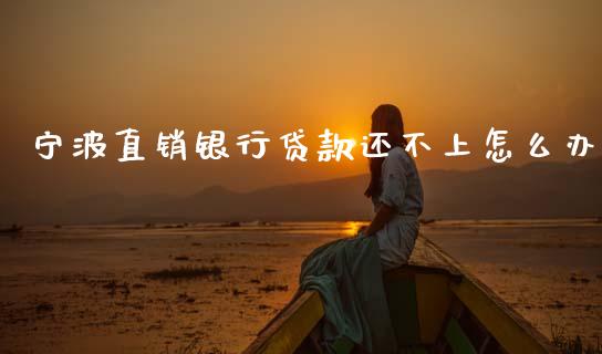 宁波直销银行贷款还不上怎么办_https://wap.hpmsj.cn_财经时评_第1张