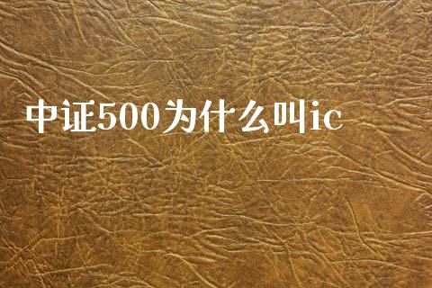 中证500为什么叫ic_https://wap.hpmsj.cn_外汇汇率_第1张