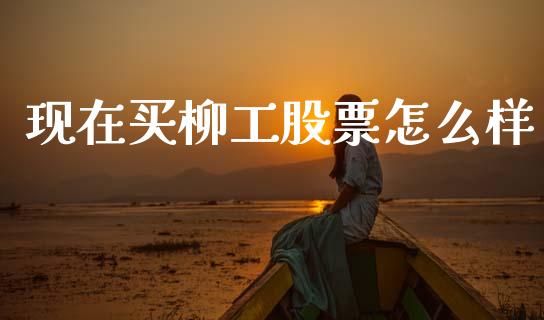 现在买柳工股票怎么样_https://wap.hpmsj.cn_外汇汇率_第1张