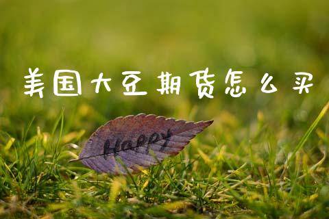 美国大豆期货怎么买_https://wap.hpmsj.cn_基金分析_第1张