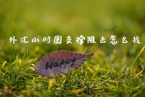 外汇小时图支撑阻击怎么找_https://wap.hpmsj.cn_金融机构_第1张