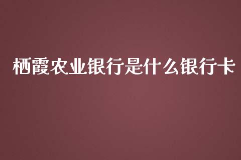 栖霞农业银行是什么银行卡_https://wap.hpmsj.cn_基金分析_第1张