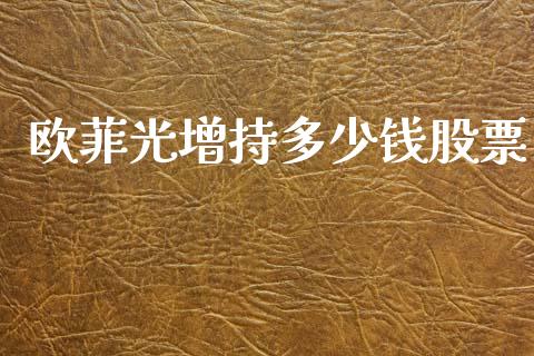 欧菲光增持多少钱股票_https://wap.hpmsj.cn_外汇汇率_第1张