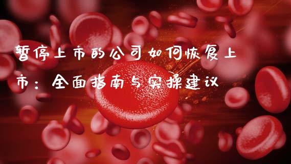 暂停上市的公司如何恢复上市：全面指南与实操建议_https://wap.hpmsj.cn_财经时评_第1张