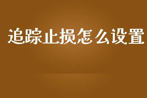 追踪止损怎么设置_https://wap.hpmsj.cn_金融机构_第1张