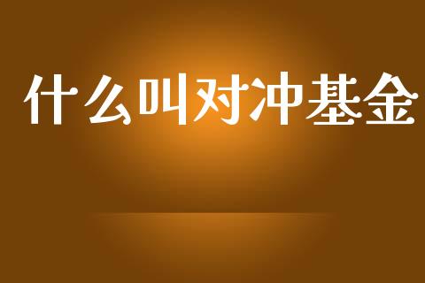 什么叫对冲基金_https://wap.hpmsj.cn_基金分析_第1张