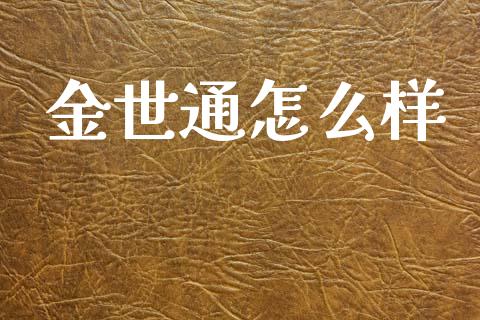 金世通怎么样_https://wap.hpmsj.cn_金融机构_第1张