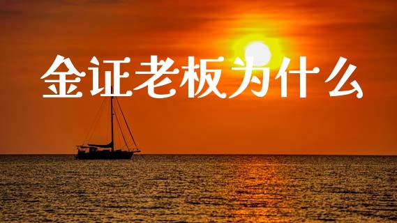 金证老板为什么_https://wap.hpmsj.cn_金融机构_第1张