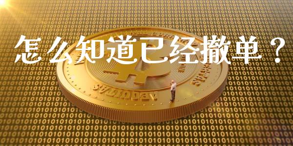怎么知道已经撤单？_https://wap.hpmsj.cn_债券投资_第1张
