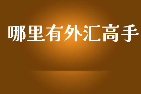 哪里有外汇高手_https://wap.hpmsj.cn_基金分析_第1张
