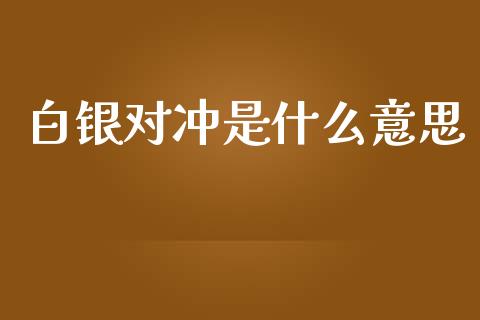 白银对冲是什么意思_https://wap.hpmsj.cn_外汇汇率_第1张
