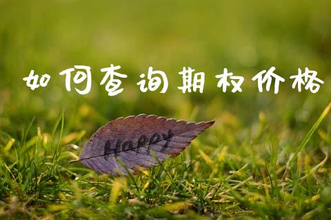 如何查询期权价格_https://wap.hpmsj.cn_债券投资_第1张