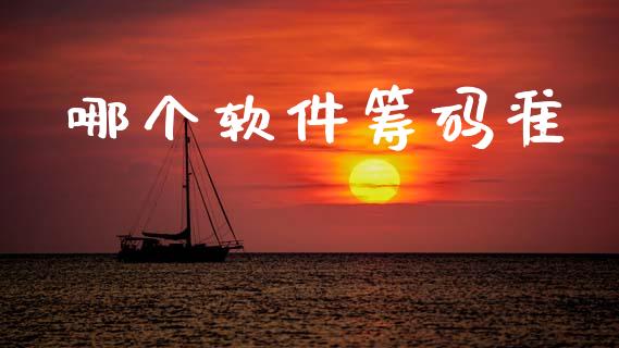 哪个软件筹码准_https://wap.hpmsj.cn_财经时评_第1张