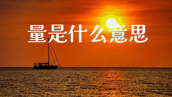 量是什么意思_https://wap.hpmsj.cn_外汇汇率_第1张