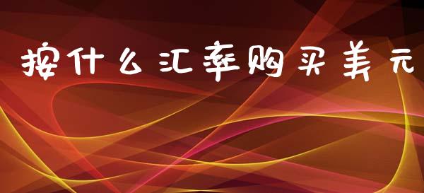 按什么汇率购买美元_https://wap.hpmsj.cn_基金分析_第1张