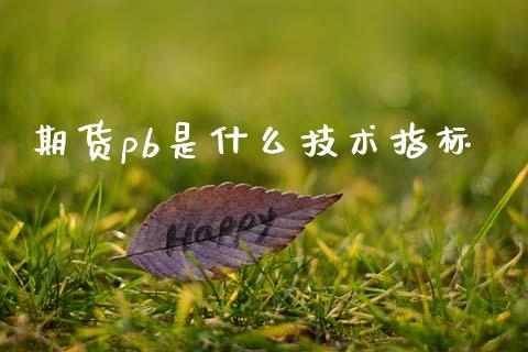 期货pb是什么技术指标_https://wap.hpmsj.cn_金融机构_第1张