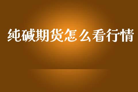 纯碱期货怎么看行情_债券投资_第1张_财经时评_基金分析_期货交易_金融机构_外汇汇率_债券投资 纯碱期货怎么看行情_https://wap.hpmsj.cn_债券投资_第1张