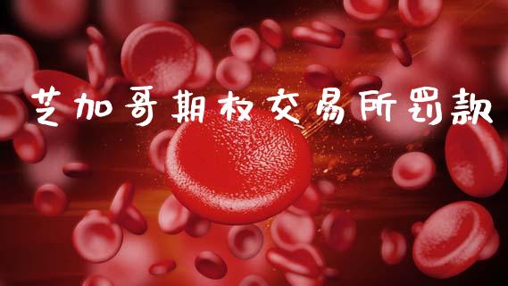 芝加哥期权交易所罚款_https://wap.hpmsj.cn_外汇汇率_第1张