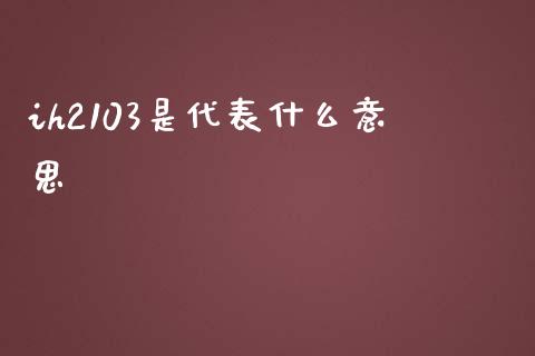 ih2103是代表什么意思_https://wap.hpmsj.cn_财经时评_第1张