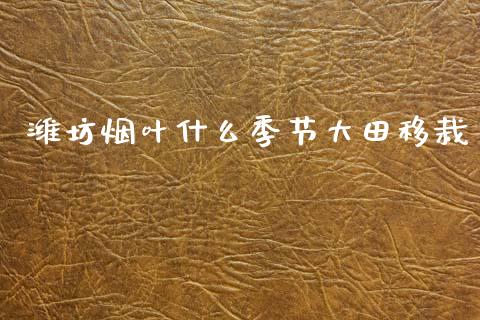 潍坊烟叶什么季节大田移栽_https://wap.hpmsj.cn_财经时评_第1张