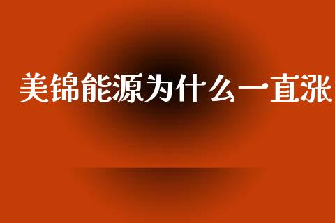美锦能源为什么一直涨_https://wap.hpmsj.cn_债券投资_第1张