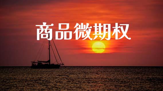 商品微期权_https://wap.hpmsj.cn_基金分析_第1张