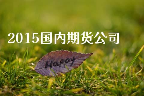2015国内期货公司_https://wap.hpmsj.cn_基金分析_第1张