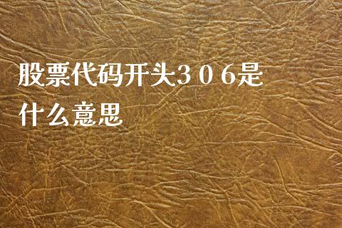 股票代码开头3 0 6是什么意思_https://wap.hpmsj.cn_债券投资_第1张